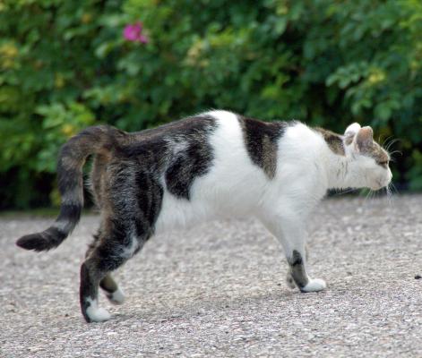 image 6606-bkatze-jpg