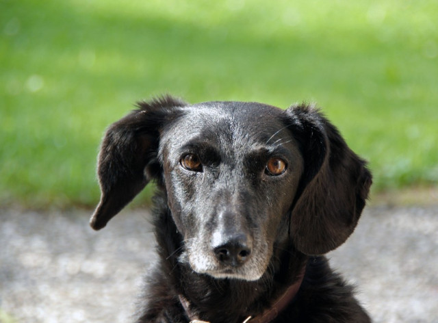 5714-asta image 5714-asta-jpg