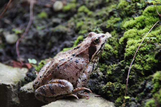 dsc07946 image dsc07946-jpg