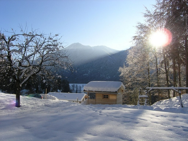 p2080100 image p2080100-jpg