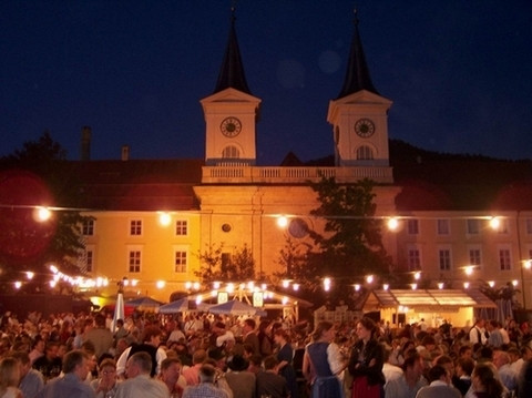 schmetterlingsgarten-vor-dem-tegernseer-schlos image schmetterlingsgarten-vor-dem-tegernseer-schlos-jpg